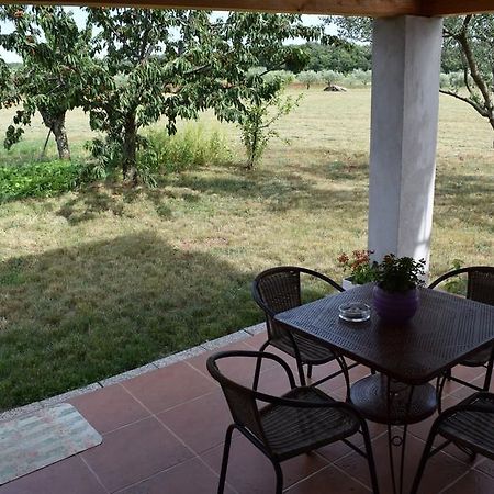 Apartment Bozana 2 Umag Eksteriør billede
